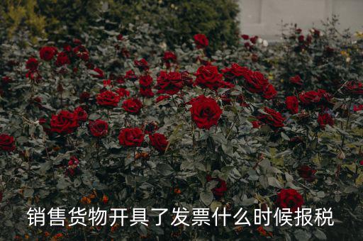 銷售貨物開具了發票什么時候報稅