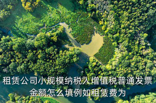 租賃公司小規模納稅人增值稅普通發票金額怎么填例如租賃費為