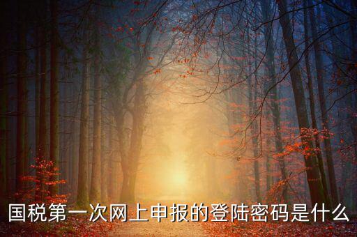 國稅申報登陸密碼是什么，國稅第一次網上申報的登陸密碼是什么