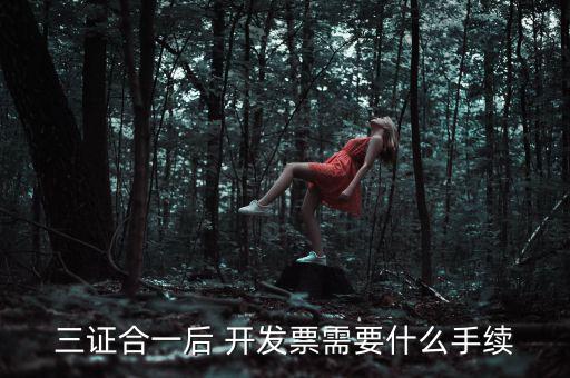 三證合一后 開發票需要什么手續