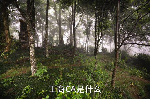 什么是企業ca密碼，ca證書密碼是什么