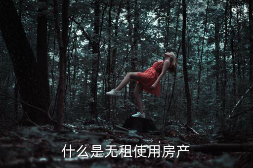 什么是無租使用房產，請問在經濟法里無租使用房產是什么意思