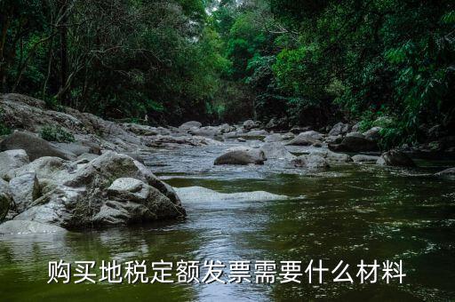 購買地稅定額發票需要什么材料
