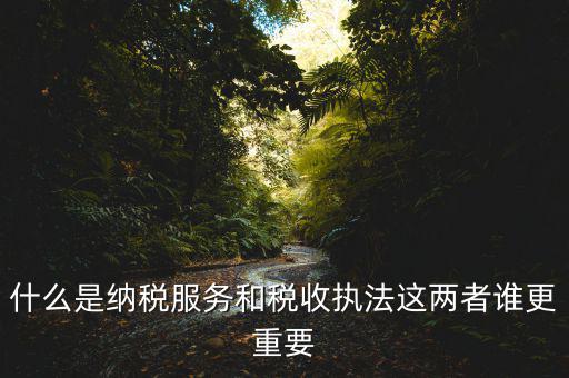 什么是納稅服務，什么是納稅服務和稅收執法這兩者誰更重要