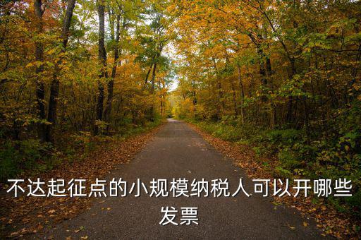 小規模納稅人能使用什么發票，建筑類小規模納稅人購買什么發票