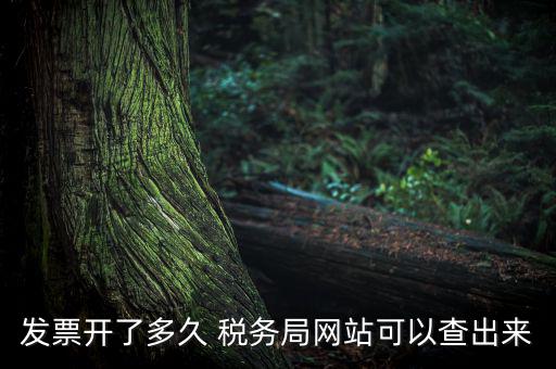 稅局一般什么時(shí)候查發(fā)票，增值稅發(fā)票開(kāi)多久能在國(guó)家稅務(wù)局查到