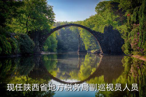 現任陜西省地方稅務局副巡視員人員