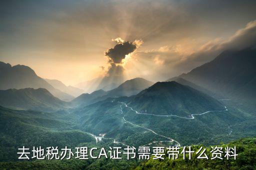 地稅ca帶什么，去地稅簽三方協議需要以下東西第四個CA是什么意思啊
