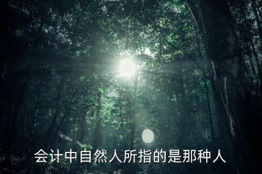會計(jì)中自然人所指的是那種人