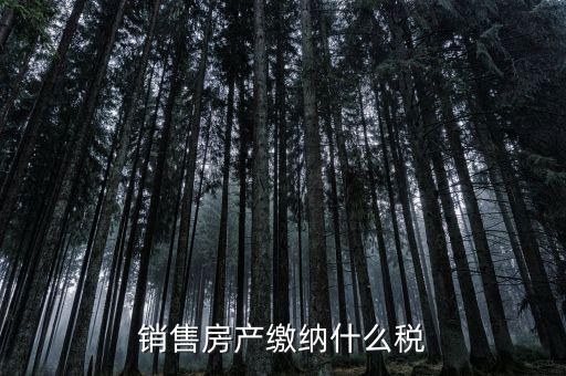 銷售房產繳納什么稅