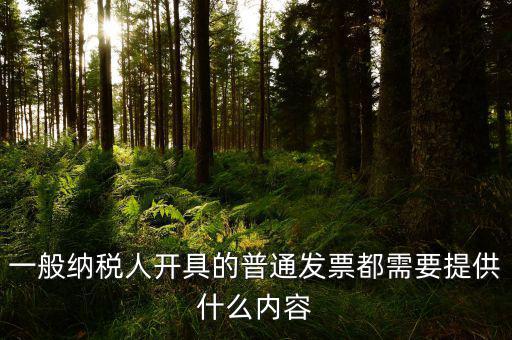 申請普票都需要什么，一般納稅人申請普通發票所帶的資料