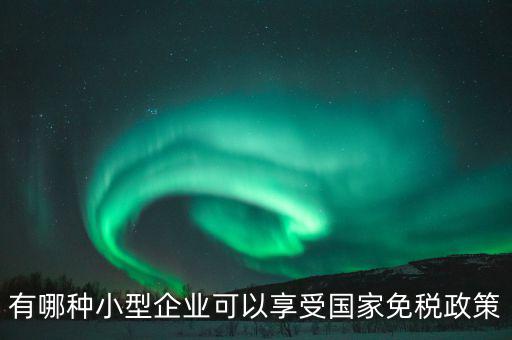 有哪種小型企業可以享受國家免稅政策