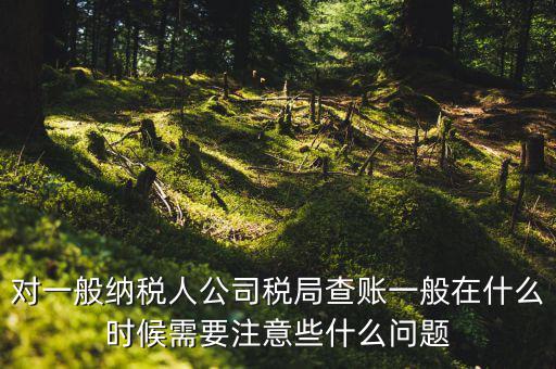 一般地稅稽查會在什么時候，稅務局什么時候會查賬不申報有哪些后果