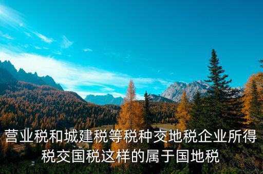 營業稅和城建稅等稅種交地稅企業所得稅交國稅這樣的屬于國地稅