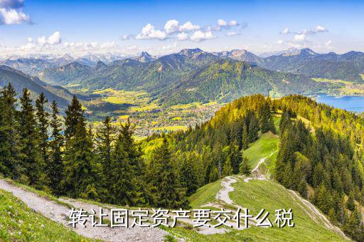資產轉讓要交什么稅，轉讓固定資產要交什么稅