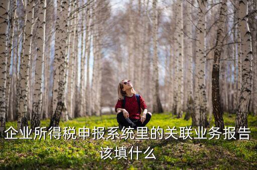 什么情況寫關聯申報，企業所得稅申報系統里的關聯業務報告該填什么