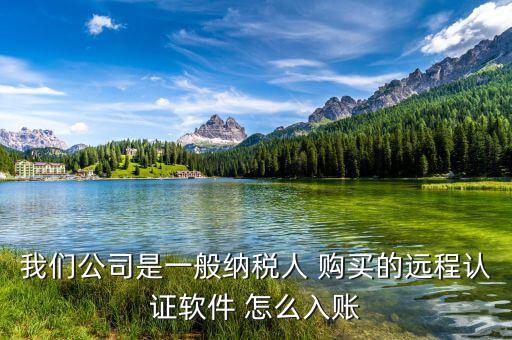 一般納稅人 網上認證 認定計入什么科目，我們公司是一般納稅人 購買的遠程認證軟件 怎么入賬