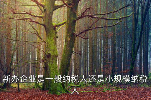 新辦企業是一般納稅人還是小規模納稅人