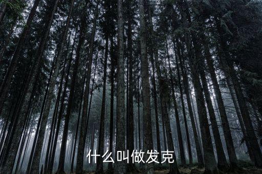 什么叫做發克