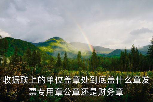 收據聯上的單位蓋章處到底蓋什么章發票專用章公章還是財務章