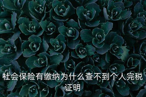 為什么查不到納稅記錄，社會保險有繳納為什么查不到個人完稅證明
