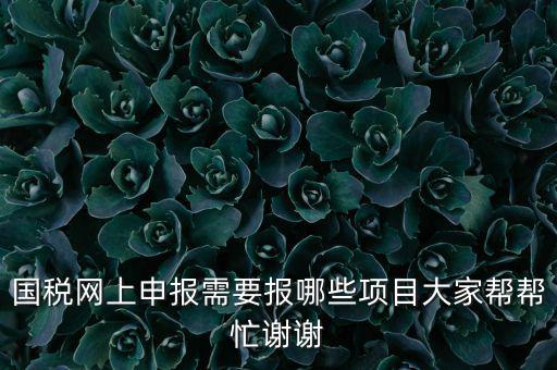 國稅網上申報需要報哪些項目大家幫幫忙謝謝