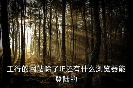 開票登陸的瀏覽器是什么，工行的網站除了IE還有什么瀏覽器能登陸的