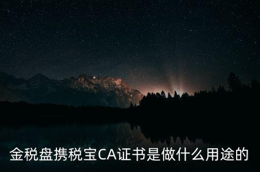企業ca證書有什么用，財悠悠CA數字證書有什么作用對于企業可以起到什么作用