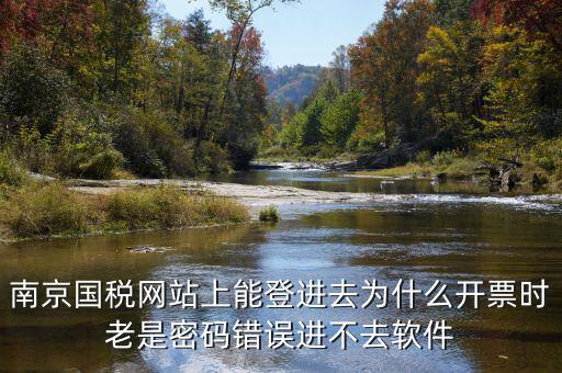 南京國稅網站上能登進去為什么開票時老是密碼錯誤進不去軟件
