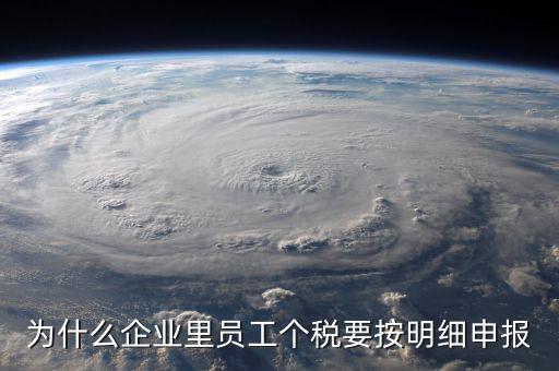 為什么企業里員工個稅要按明細申報