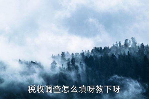 稅收調查主要調查什么，企業(yè)所得稅稅收調查