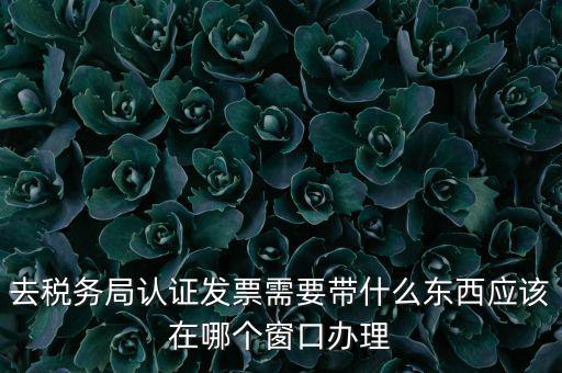 去稅務局認證發票需要帶什么東西應該在哪個窗口辦理