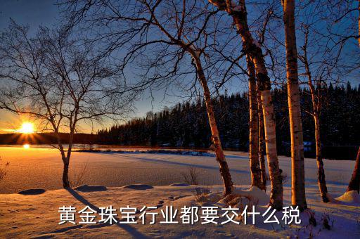黃金珠寶行業都要交什么稅