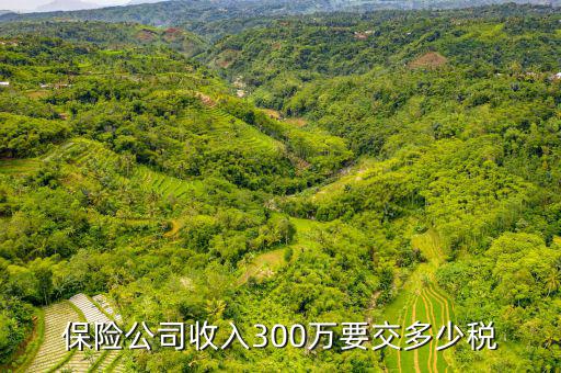 保險公司交什么稅，保險公司保險費交營業稅嗎按5交