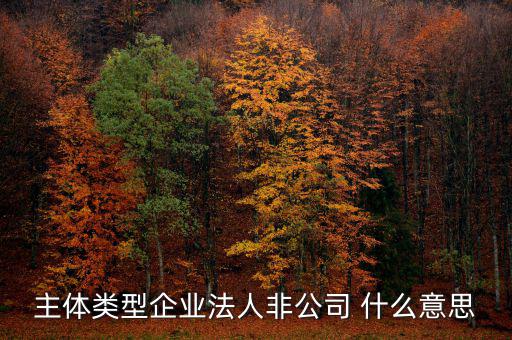 主體類型企業法人非公司 什么意思
