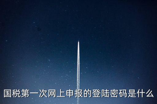 所得稅清算登陸密碼是什么，國稅第一次網(wǎng)上申報(bào)的登陸密碼是什么