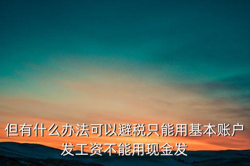 什么是國稅存量賬戶，但有什么辦法可以避稅只能用基本賬戶發工資不能用現金發