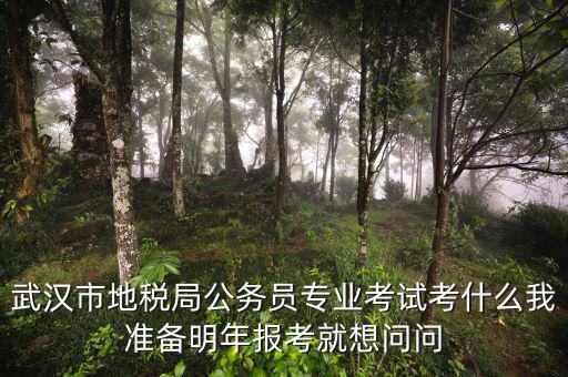 省地稅局復試考什么，武漢市地稅局公務員專業考試考什么我準備明年報考就想問問