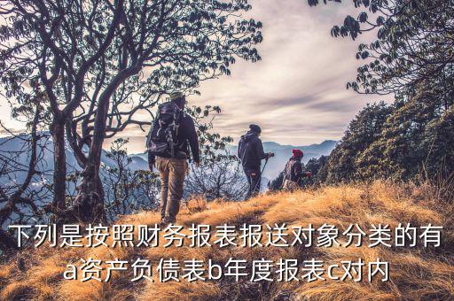 財務報表報送小類選什么，下列是按照財務報表報送對象分類的有a資產負債表b年度報表c對內