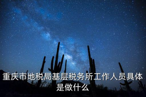 重慶地稅局前臺做什么的，重慶市地稅局基層稅務所工作人員具體是做什么