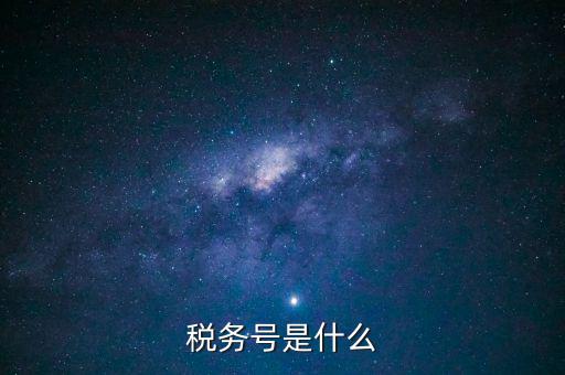 什么是稅務(wù)登記號(hào)，稅務(wù)號(hào)是什么