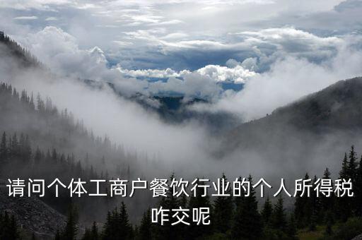 請問個體工商戶餐飲行業的個人所得稅咋交呢