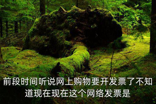 網絡發票是什么，在網上買東西電子發票與普通發票有區別嗎