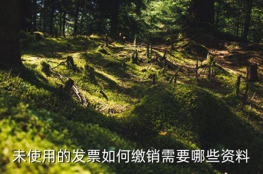 未使用的發票如何繳銷需要哪些資料