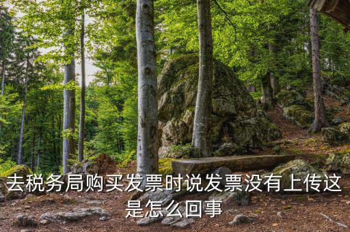 去稅務局購買發票時說發票沒有上傳這是怎么回事