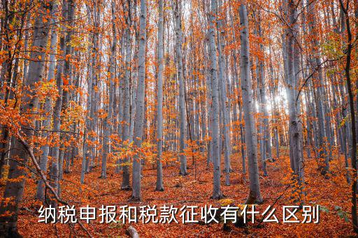 納稅申報和稅款征收有什么區別