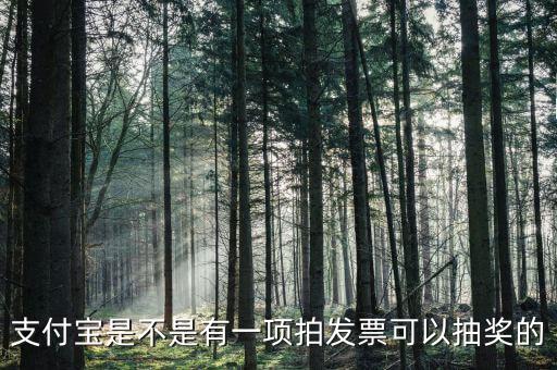支付寶是不是有一項拍發票可以抽獎的