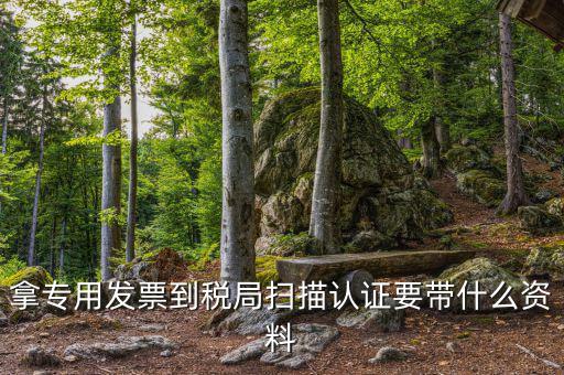 拿專用發票到稅局掃描認證要帶什么資料
