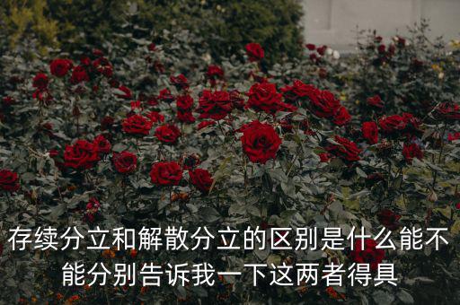 存續分立和解散分立的區別是什么能不能分別告訴我一下這兩者得具