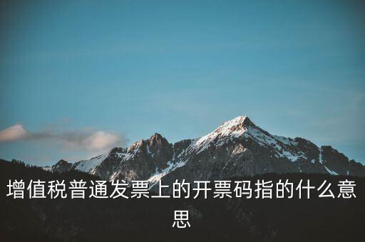 稅控盤開票碼是什么，增值稅普通發票上的開票碼指的什么意思